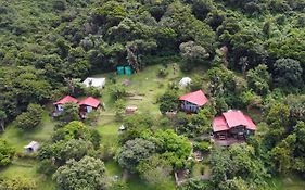 Amapondo